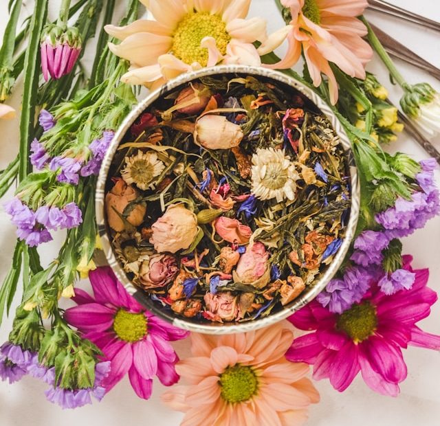 ambil dari : https://unsplash.com/photos/pink-and-yellow-flowers-with-green-leaves-N0At97F_c0Y