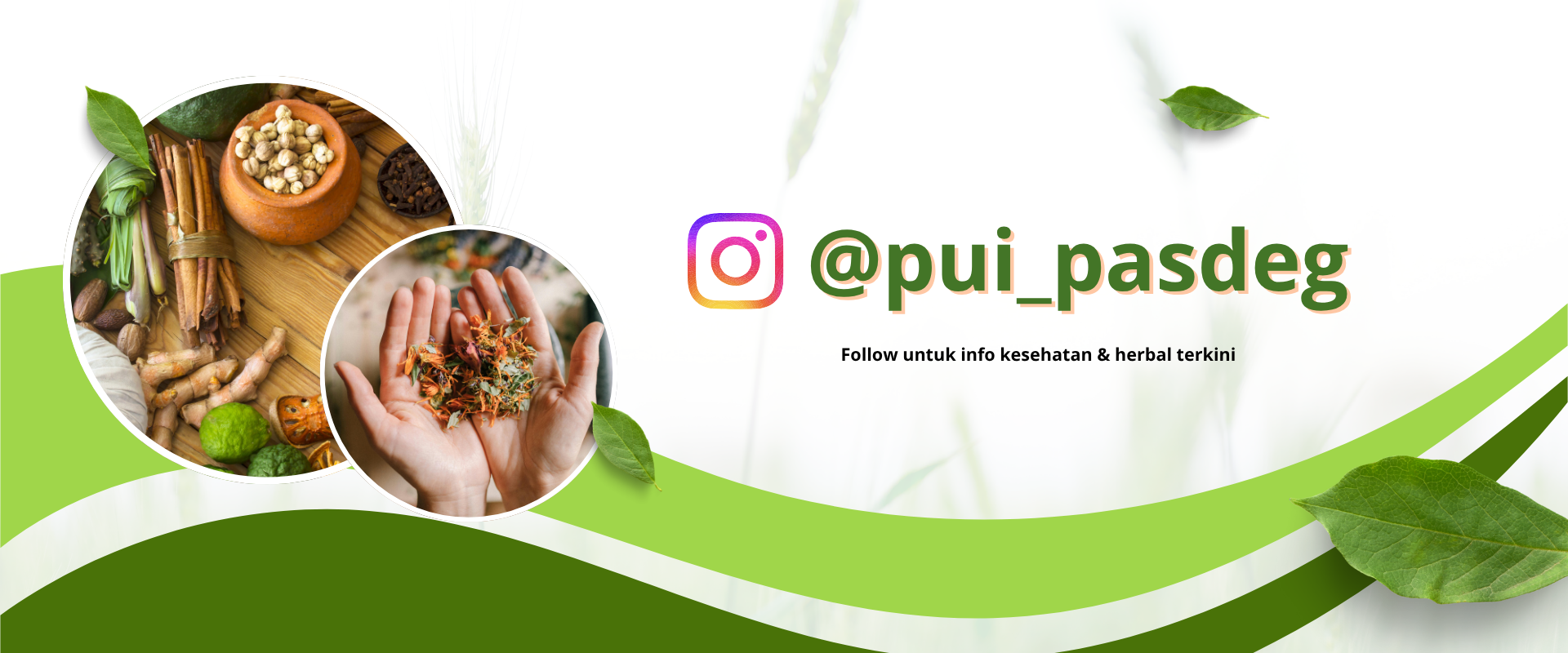 Follow untuk info kesehatan & herbal terkini