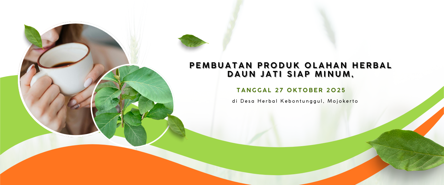 Ternyata Daun Jati nggak cuma buat bungkus nasi, lho! 🌱🍵